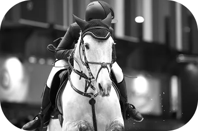 A rider wearing protective gear jumps a white horse over an obstacle in an indoor arena. The scene conveys focus and athleticism. Black and white.